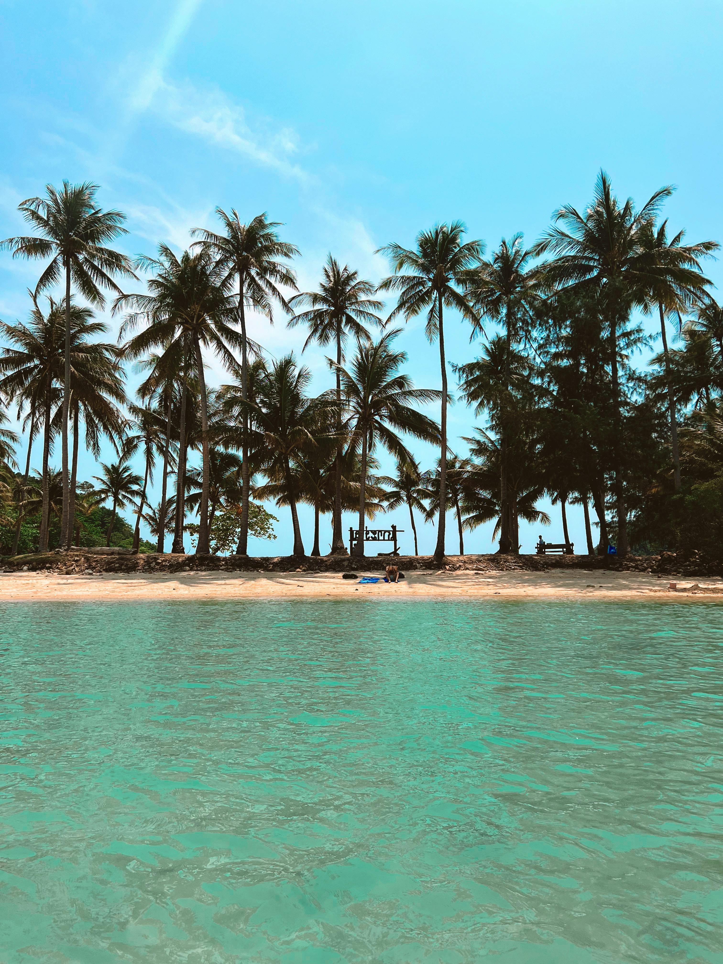 Ночной Пекин